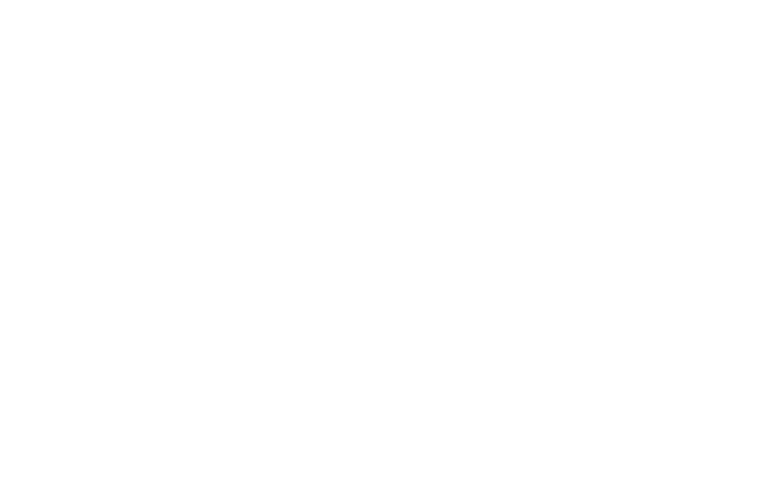 Carrousel Logo